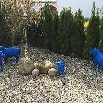 Appartamento Modernes-wohnen-im-bungalow