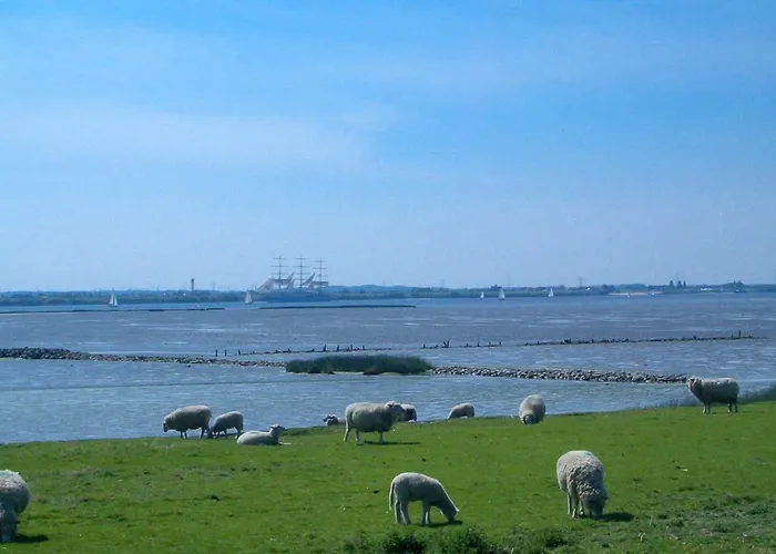 Apartamento Modernes-wohnen-im-bungalow